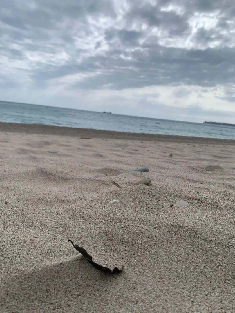 Riviera (Ривьера)