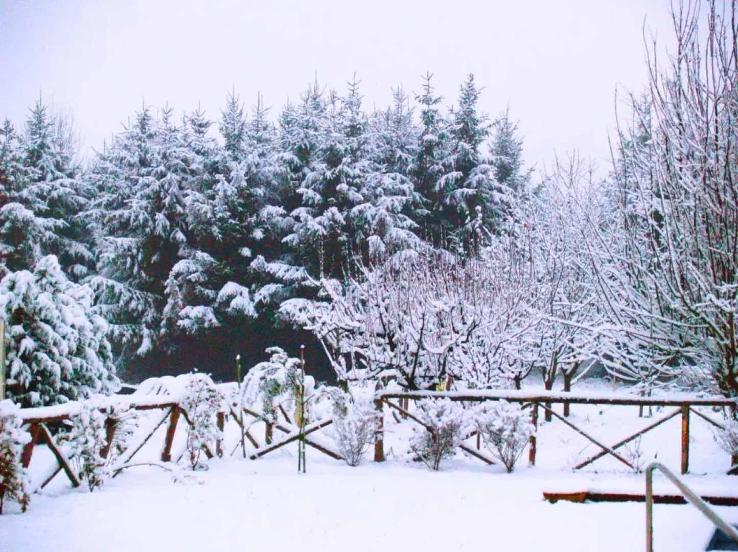 CA' LEONE - Sans Souci - Apartment in Villa with Pool