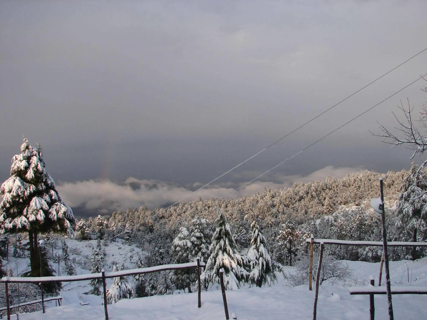 Anant Rasa -An Amritara Private Hideaway