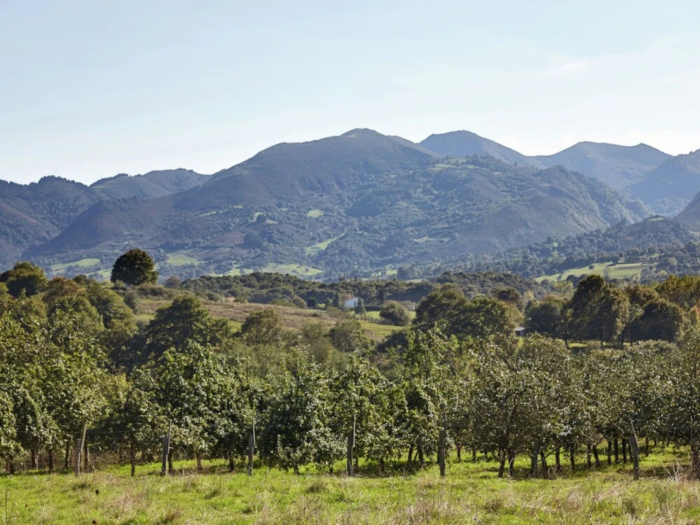 Heavenly Villa in Collia, Parres With Garden