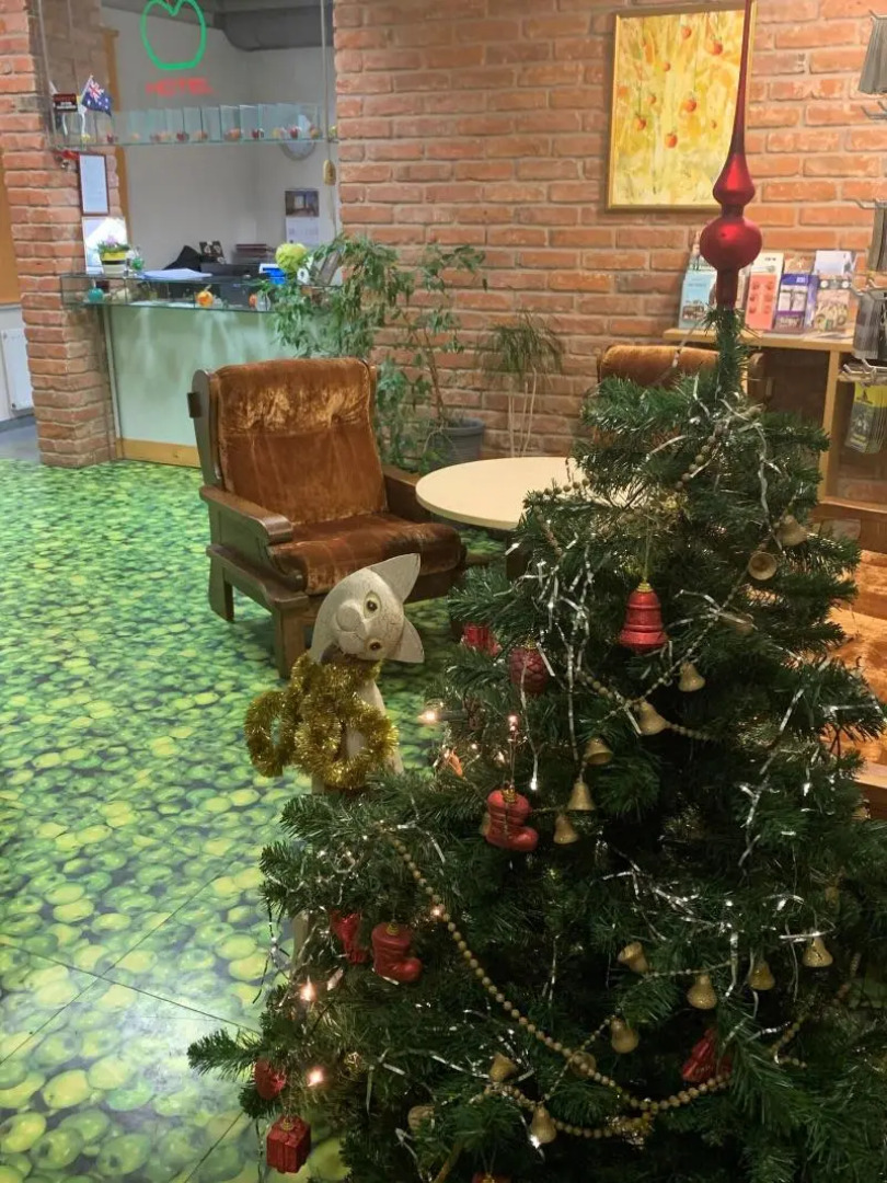 Отель Apple Economy