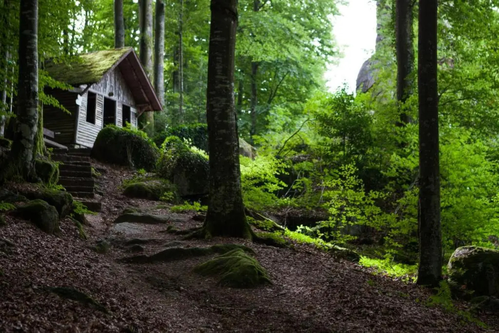 Terrassenpark Apartments