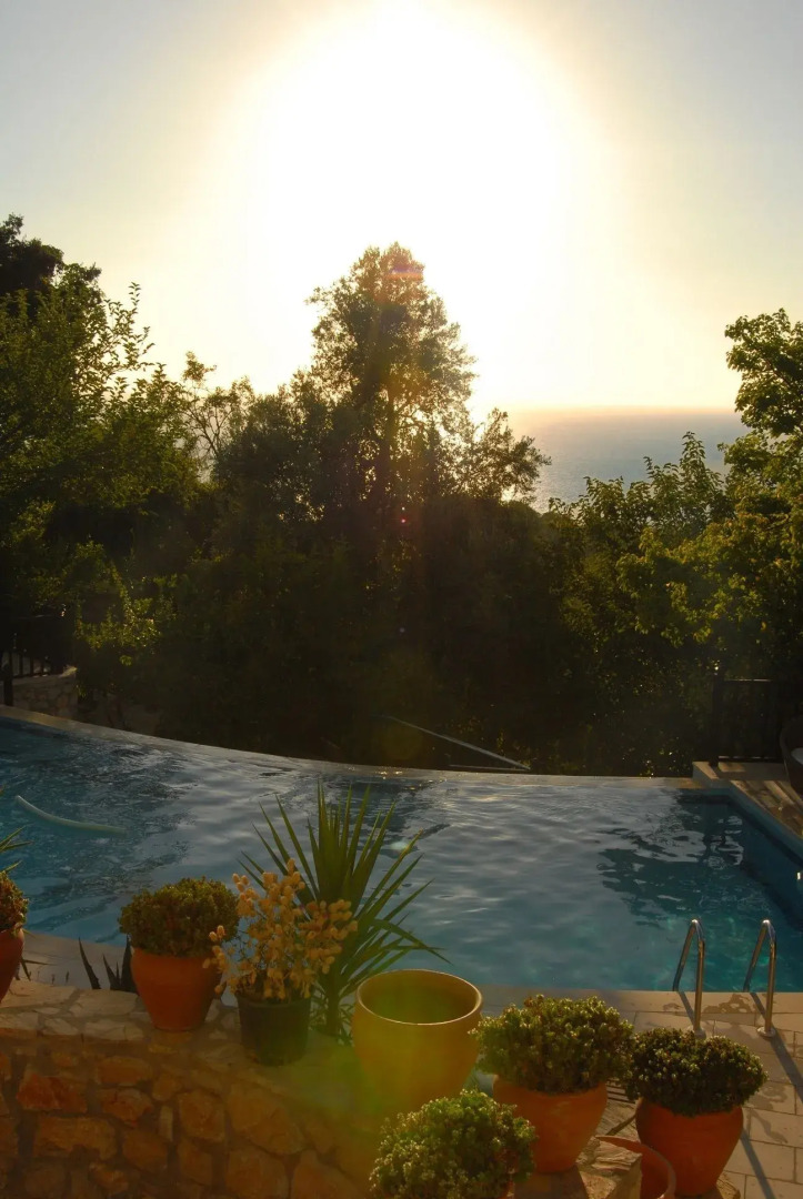 Lazy Lizard Boutique-Hotel