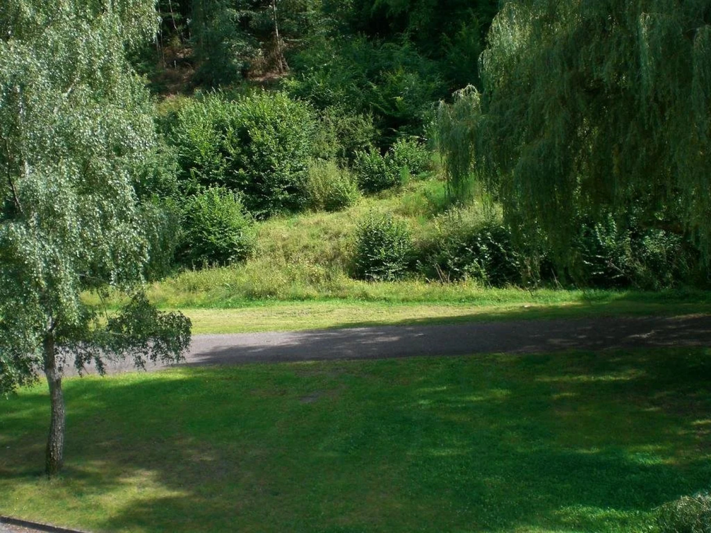 Gasthaus-Pension Waldesruhe