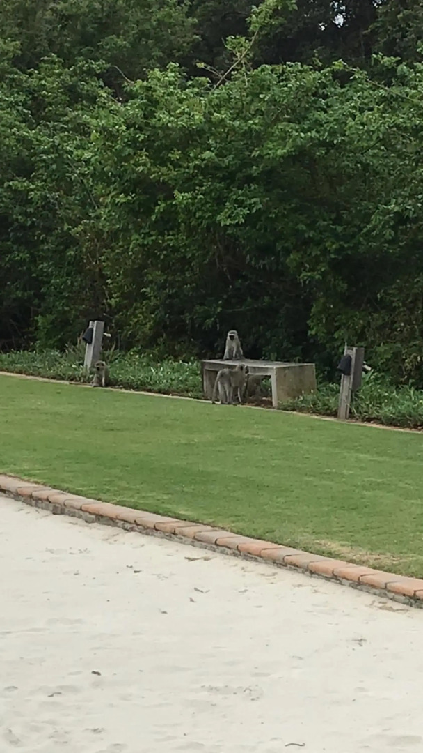 Umhlanga Beach Front 4 Sleeper