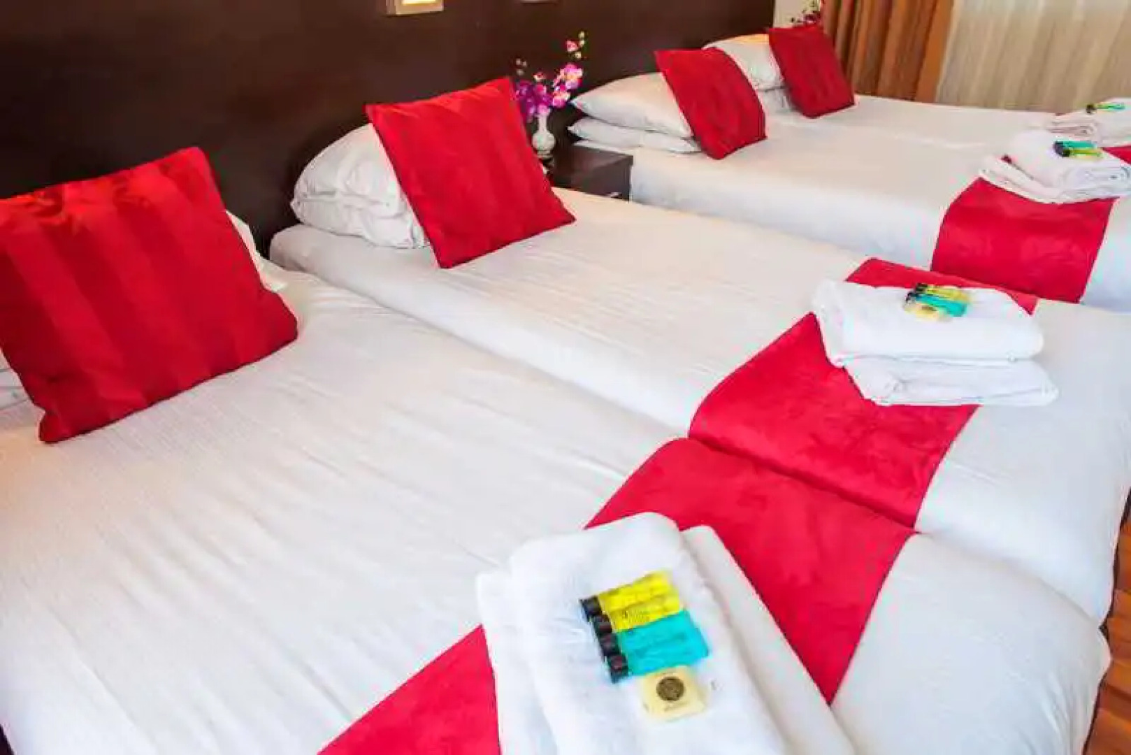 Hotel Falcon Plaza Centre