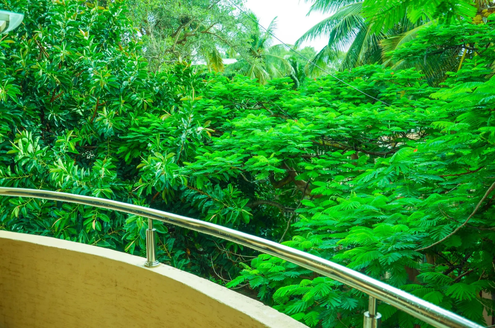 The Chevron Orchards