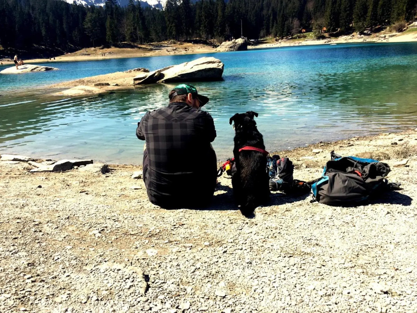 Soldanella by Hotel Adula