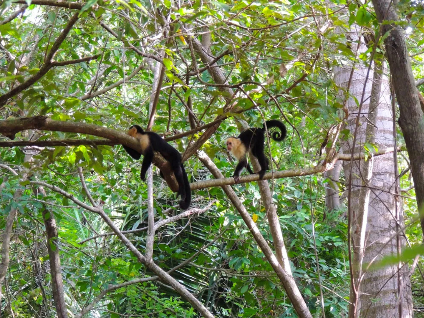 Trujillo Eco Beach 228