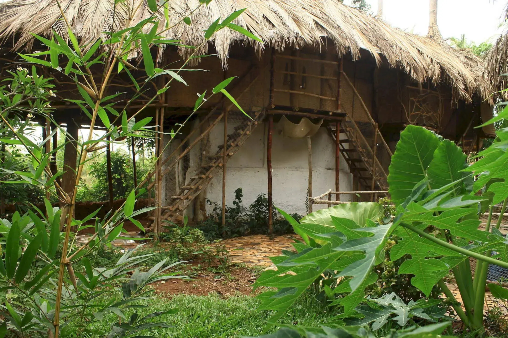 Saraya Art Cafe B&B