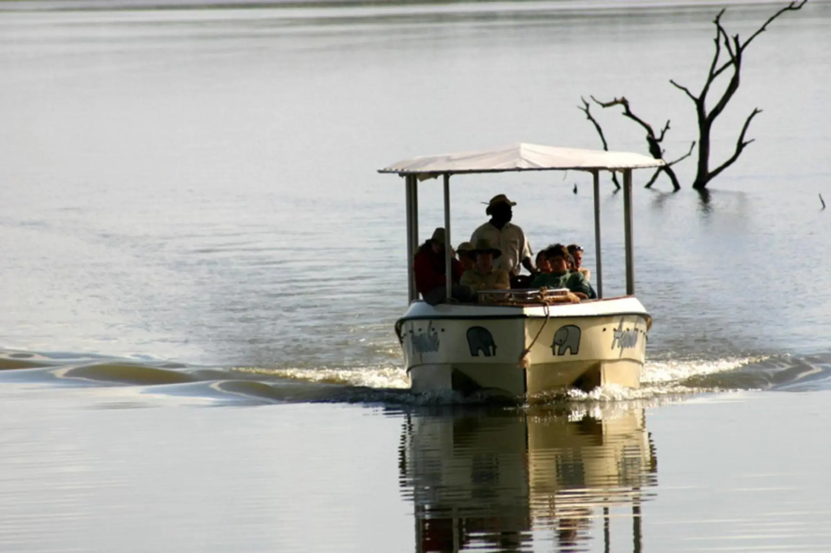 Africamps at White Elephant Safaris