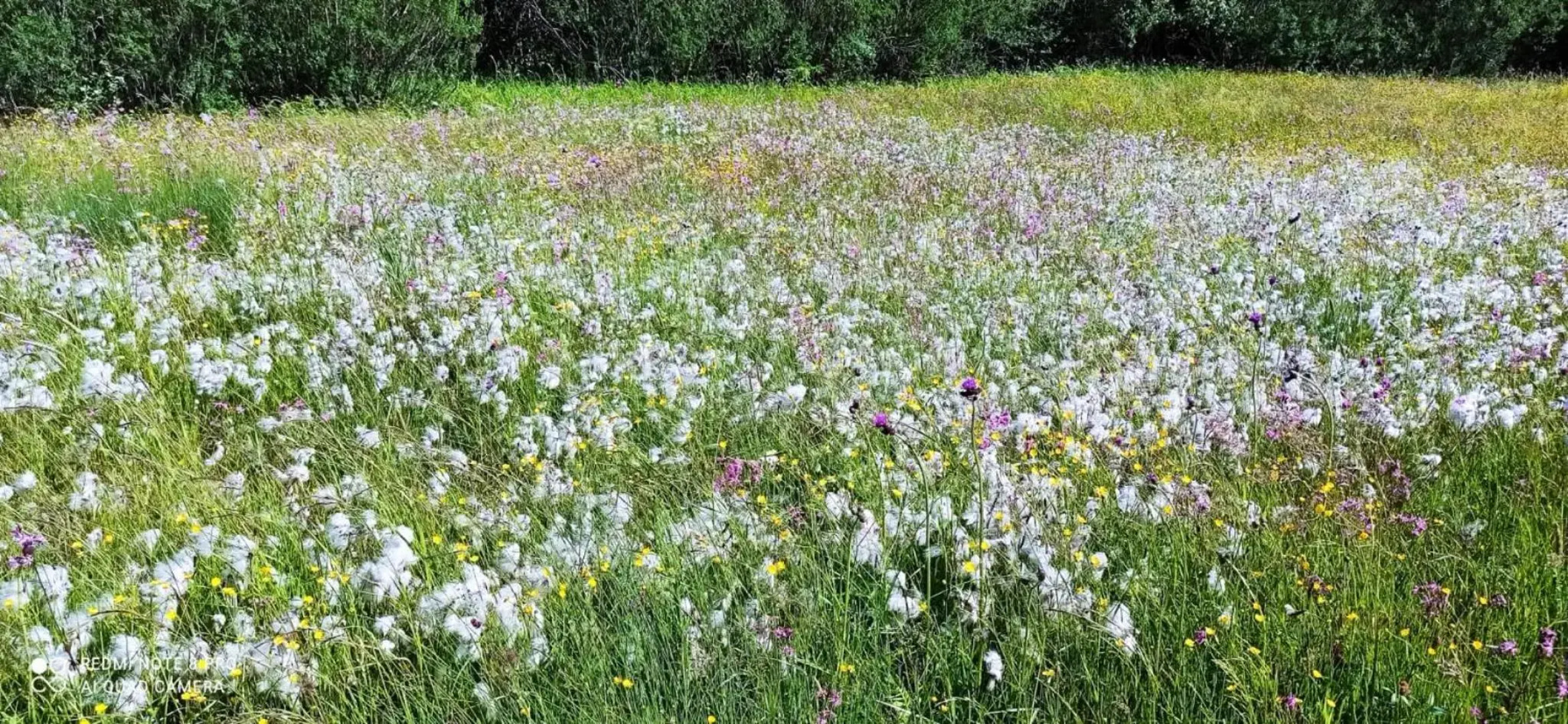 Ubytovanie v súkromí Grobarčík