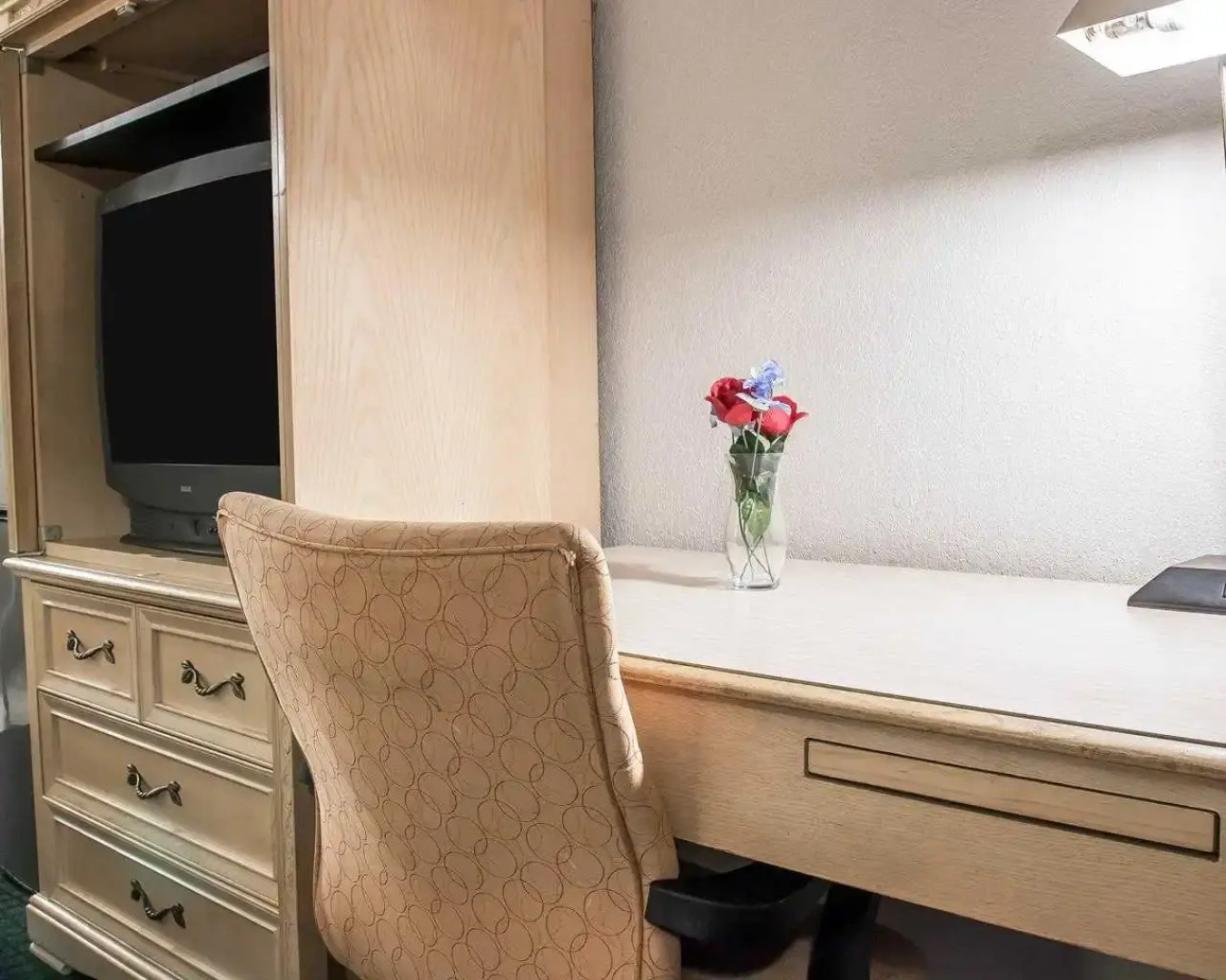 Rodeway Inn Metro Airport