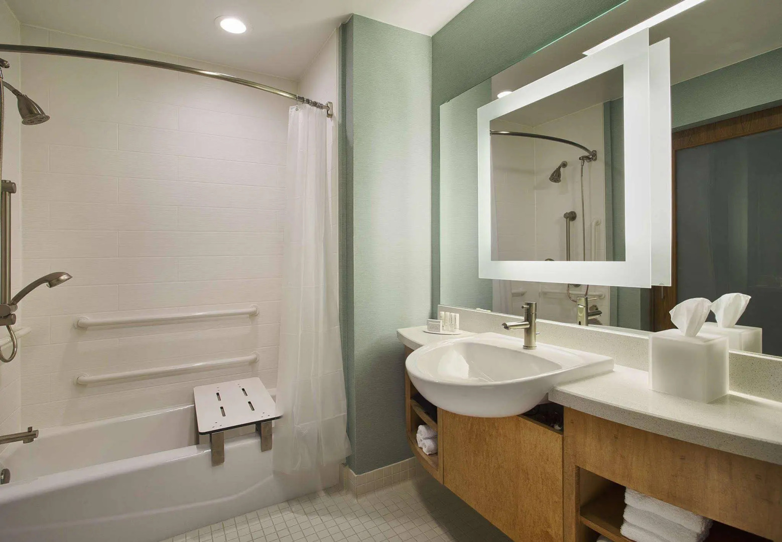 Springhill Suites by Marriott Houston Dwntn/Convention Cntr