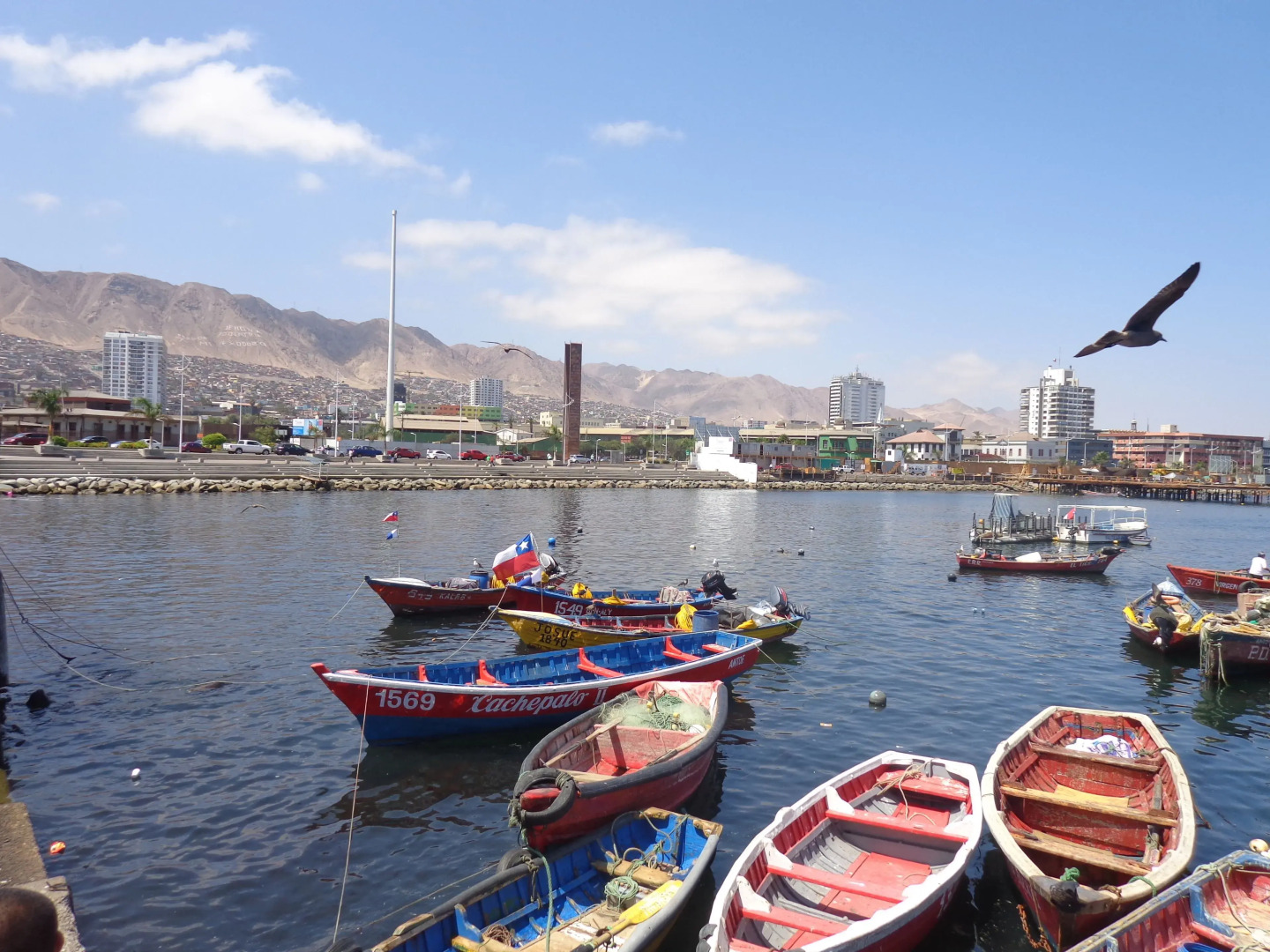 Hotel Costa Pacifico - Express