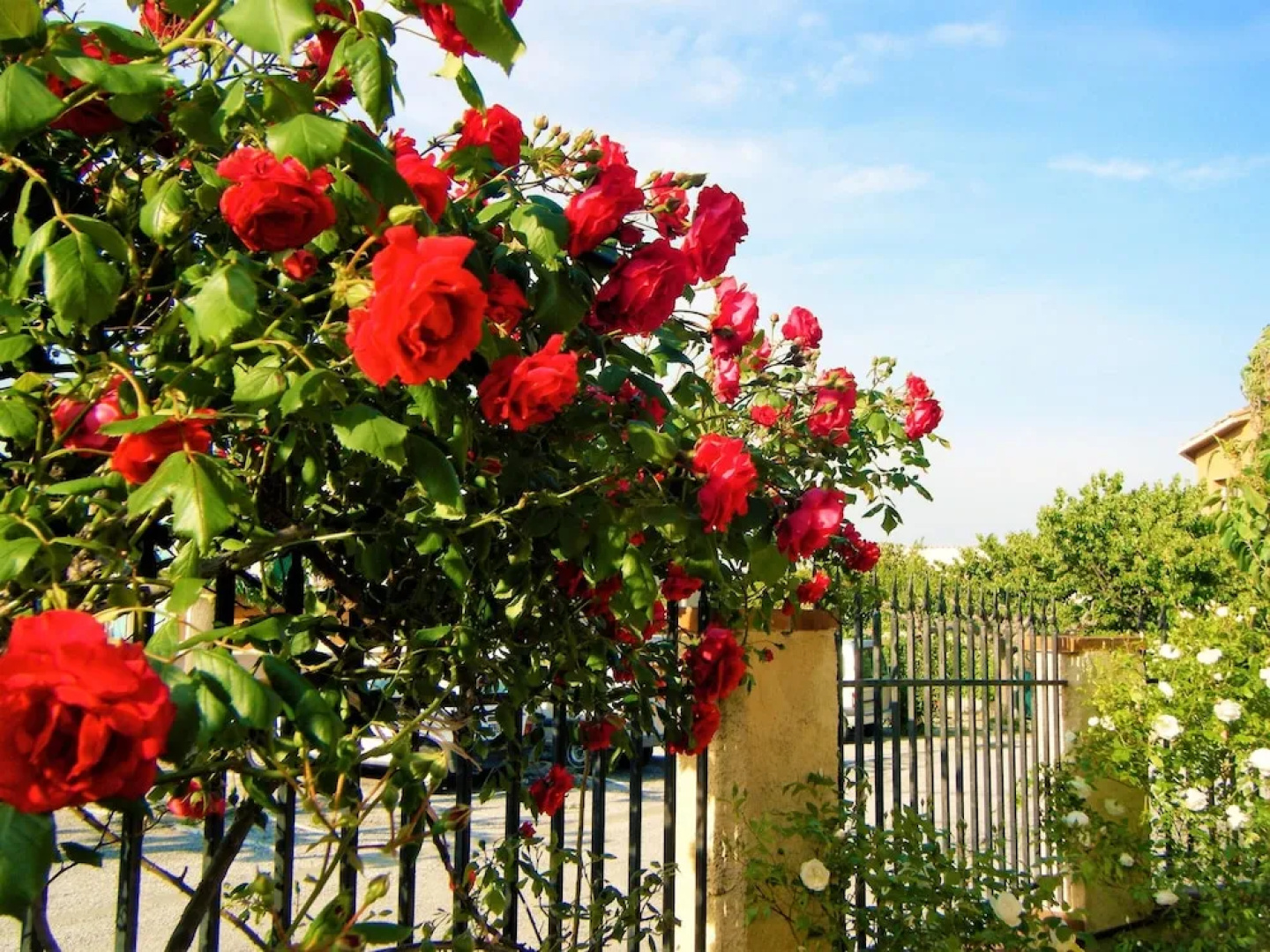 House With 3 Bedrooms in Corbère-les-cabanes, With Enclosed Garden and
