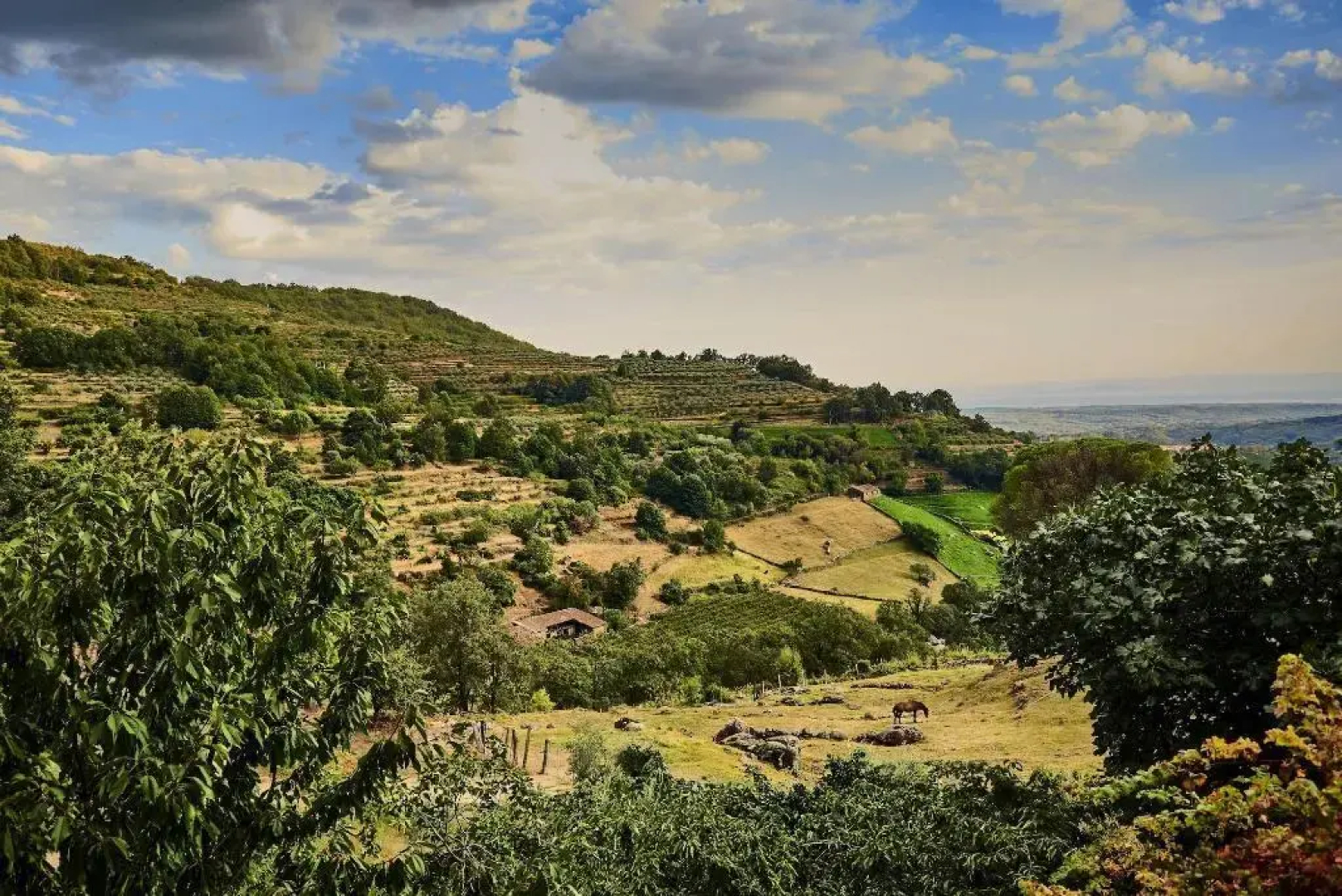 La Posada de los Sentidos