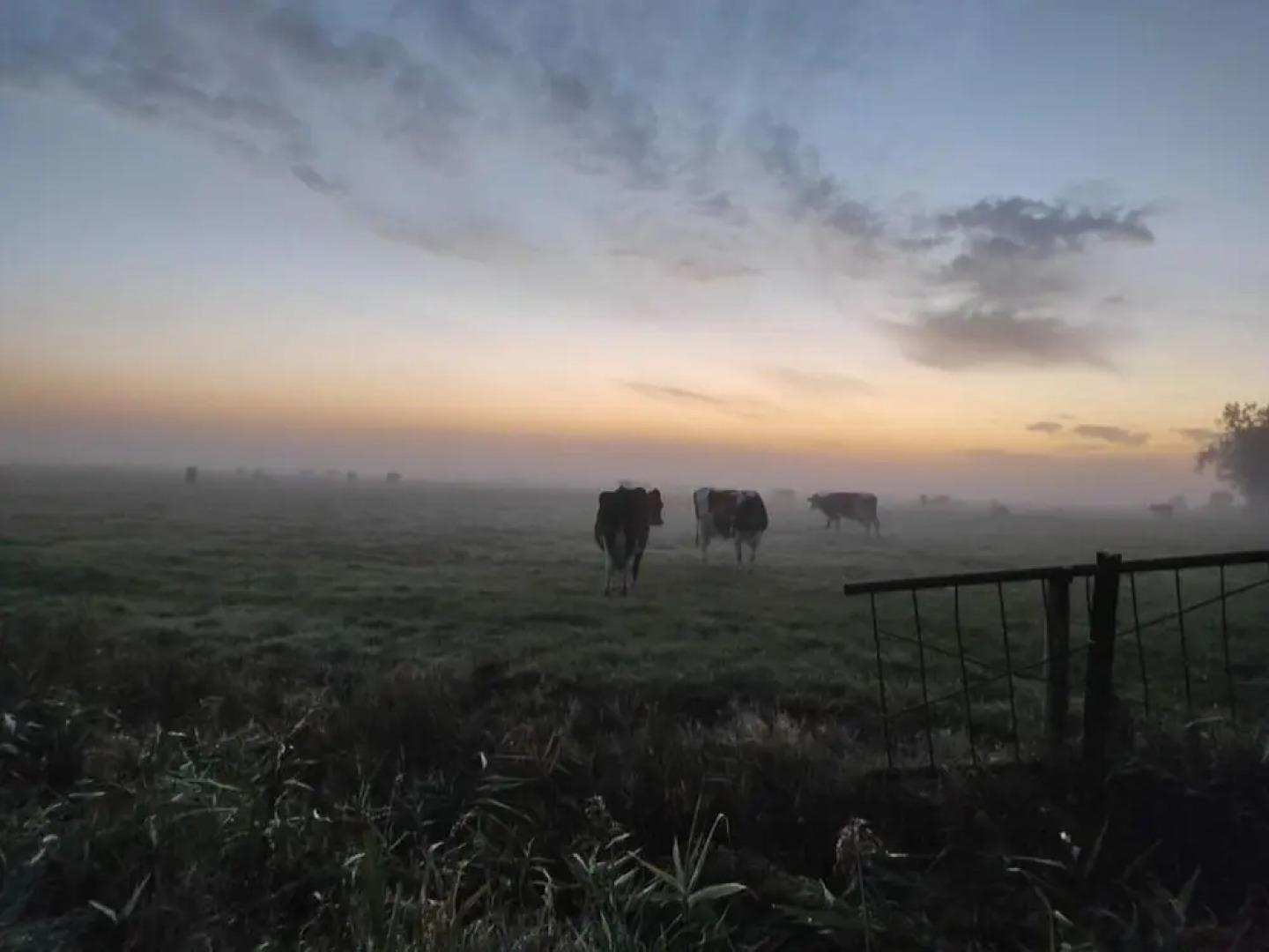 Veerman's Huis Ditzum