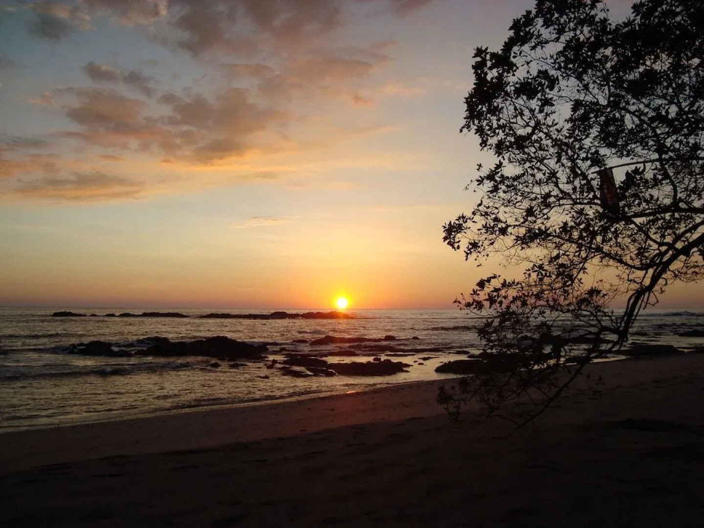 You Imagine Costa Rica Our Location Being on the Beach is What You Imagine