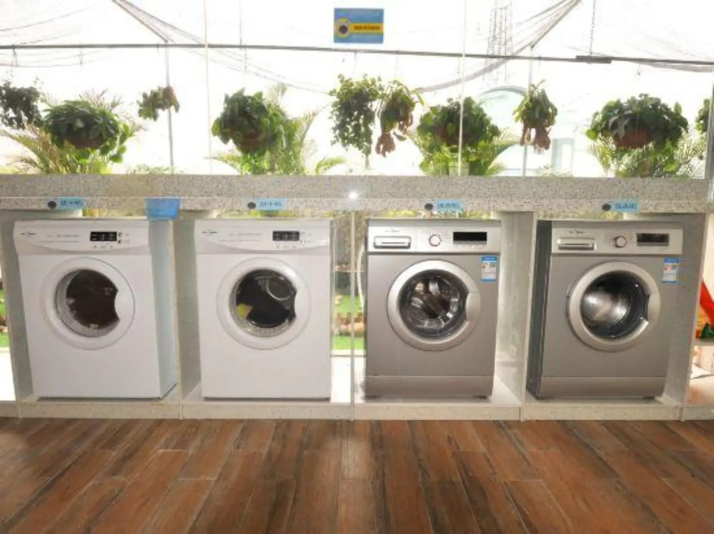 Young Trees Fashion Hotel