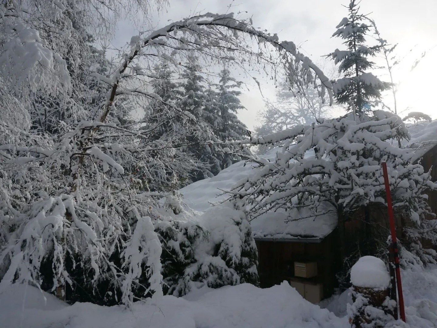 Luxurious Chalet in the Alpine Commune of Taninges