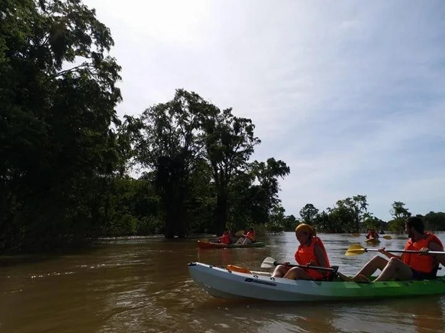 Silver Dolphin Guesthouse