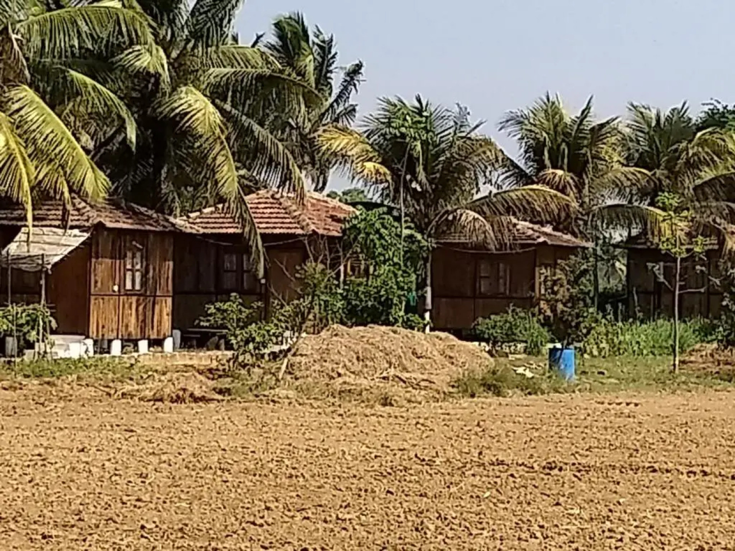 Saligao farm cottage