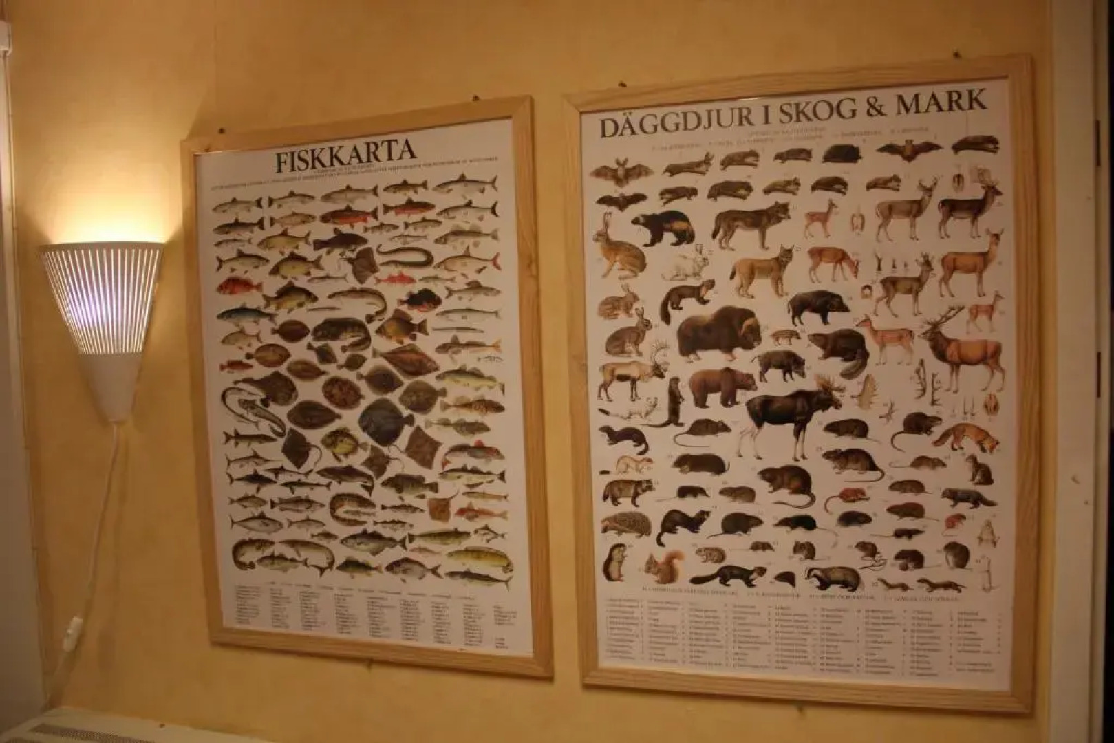 Hällefors Vandrarhem & Kanotcenter