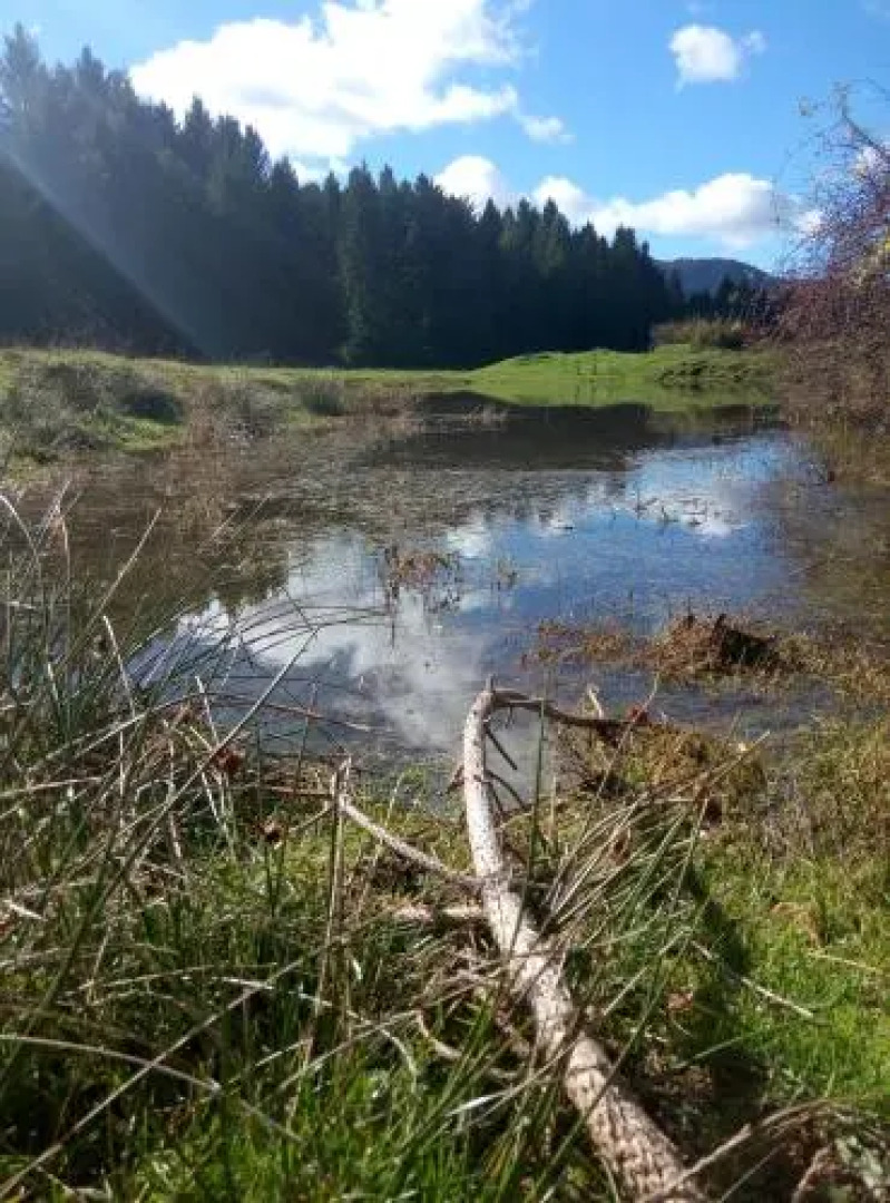 Apartment Doris Mrkopalj