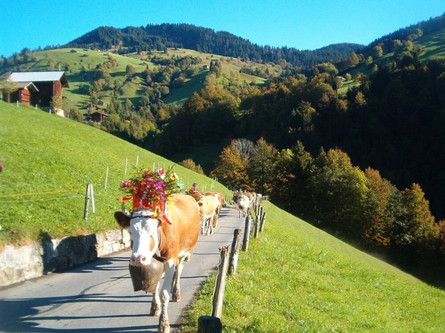 Hubertus A Habkern in Habkern
