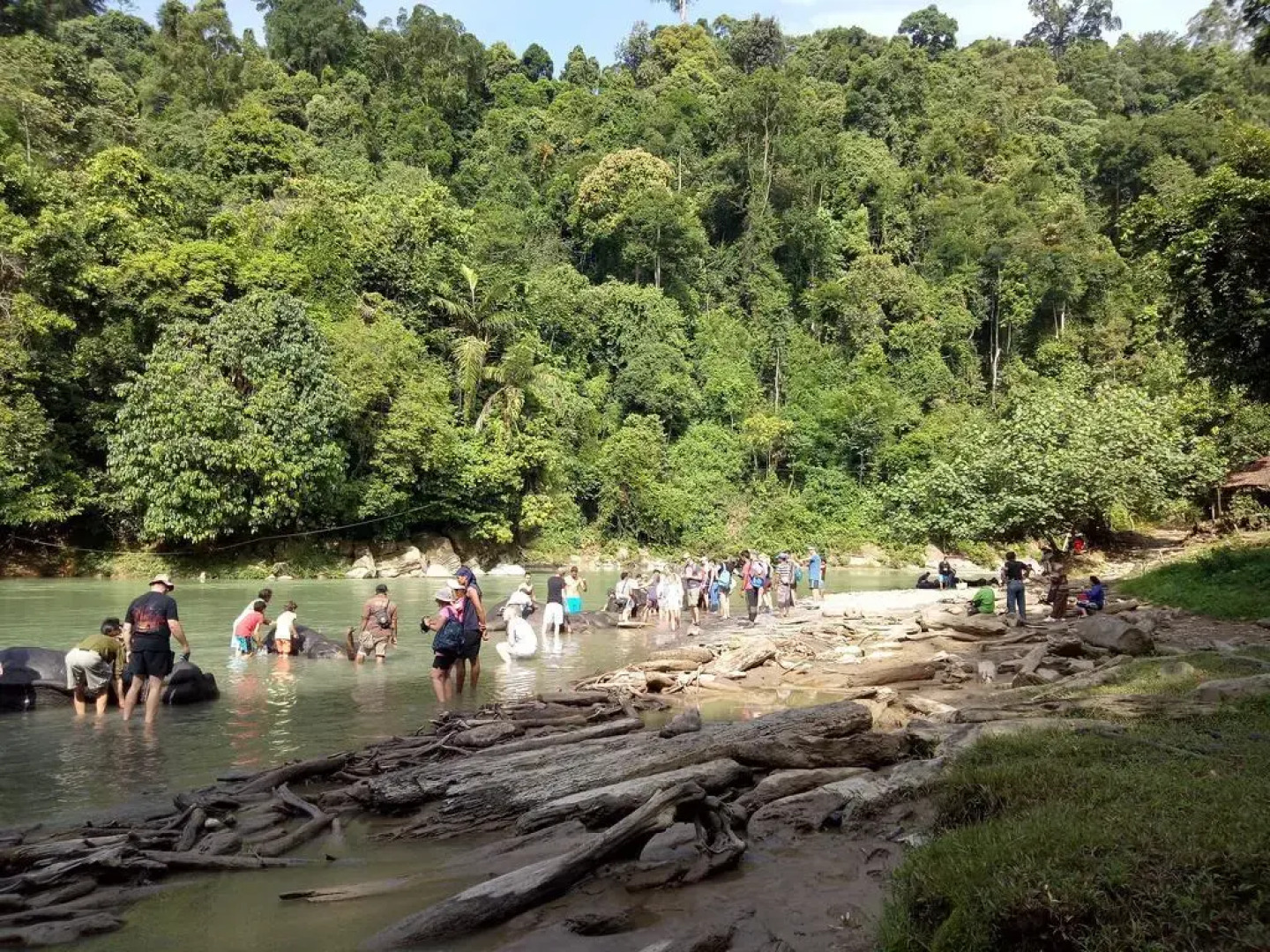 Green Lodge Tangkahan