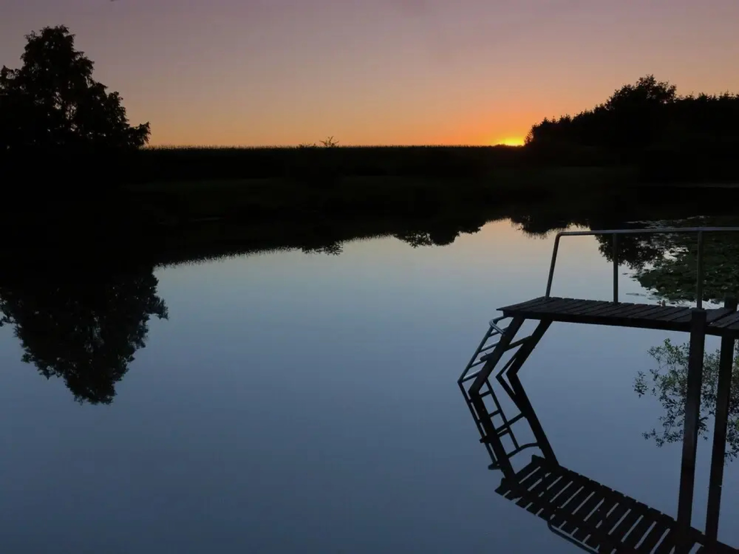 Villa in Ommen With Private Pond