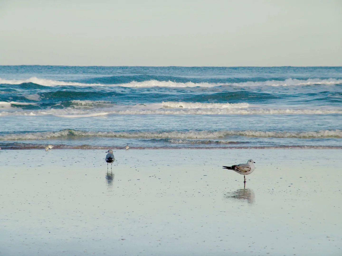 Hampton Inn Daytona Shores - Oceanfront