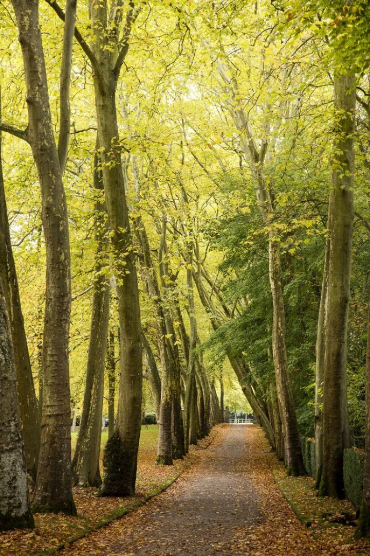 Le Moulin Du Hameau De Courances