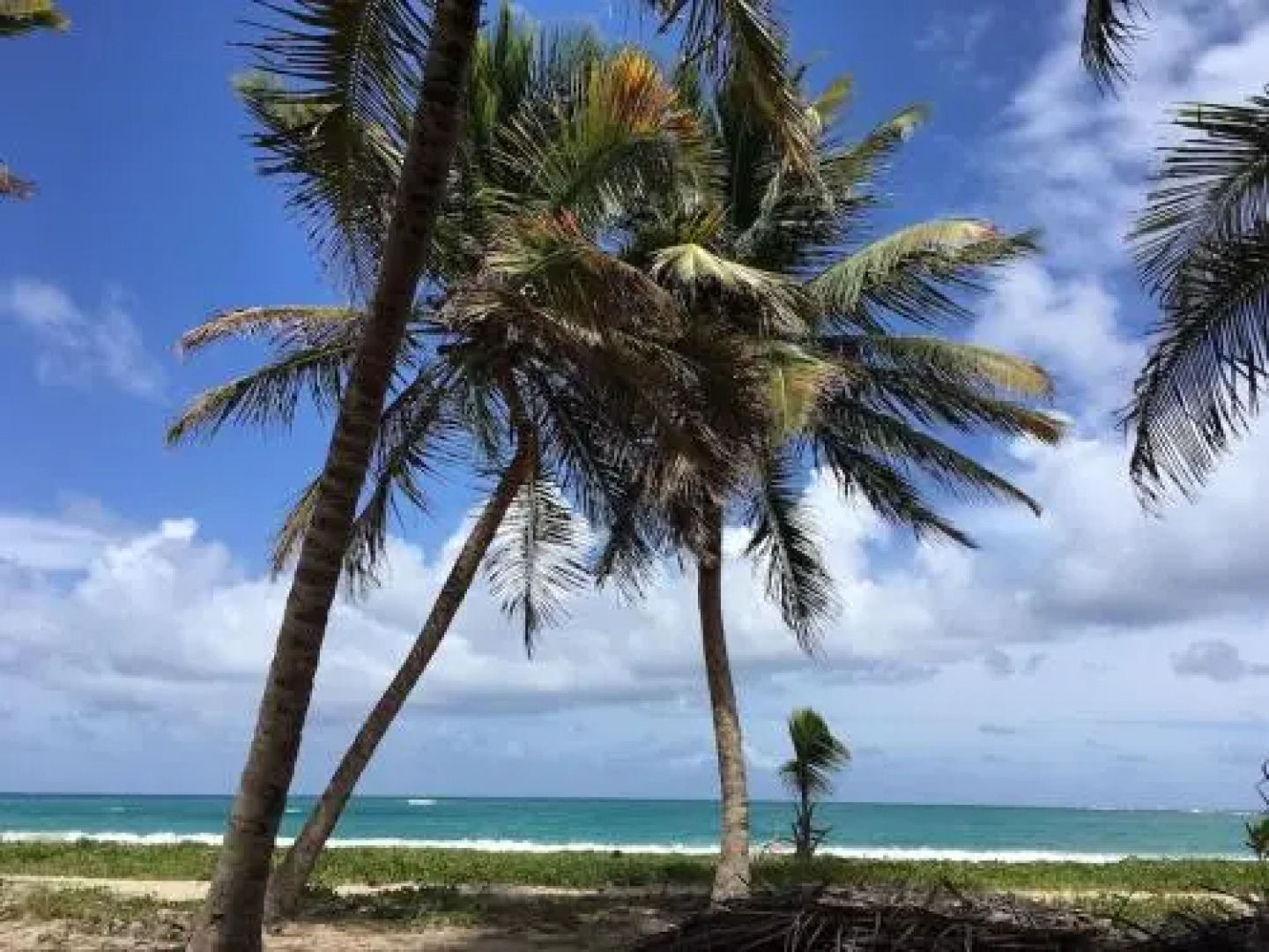 Villa Doucè Kreyòl