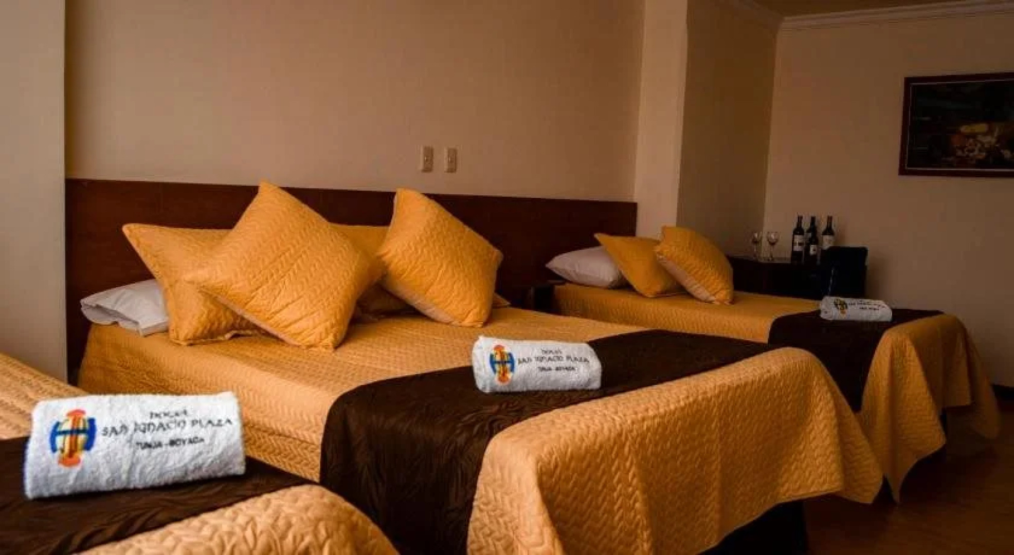 Hotel San Ignacio Plaza