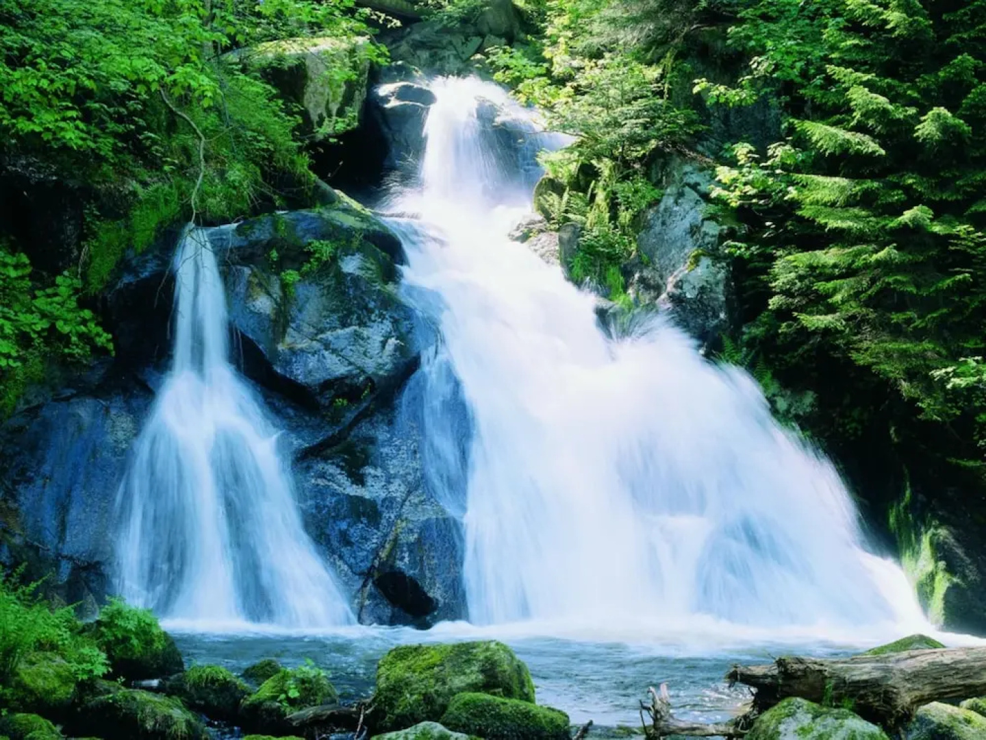 Forest Family Stay, Triberg