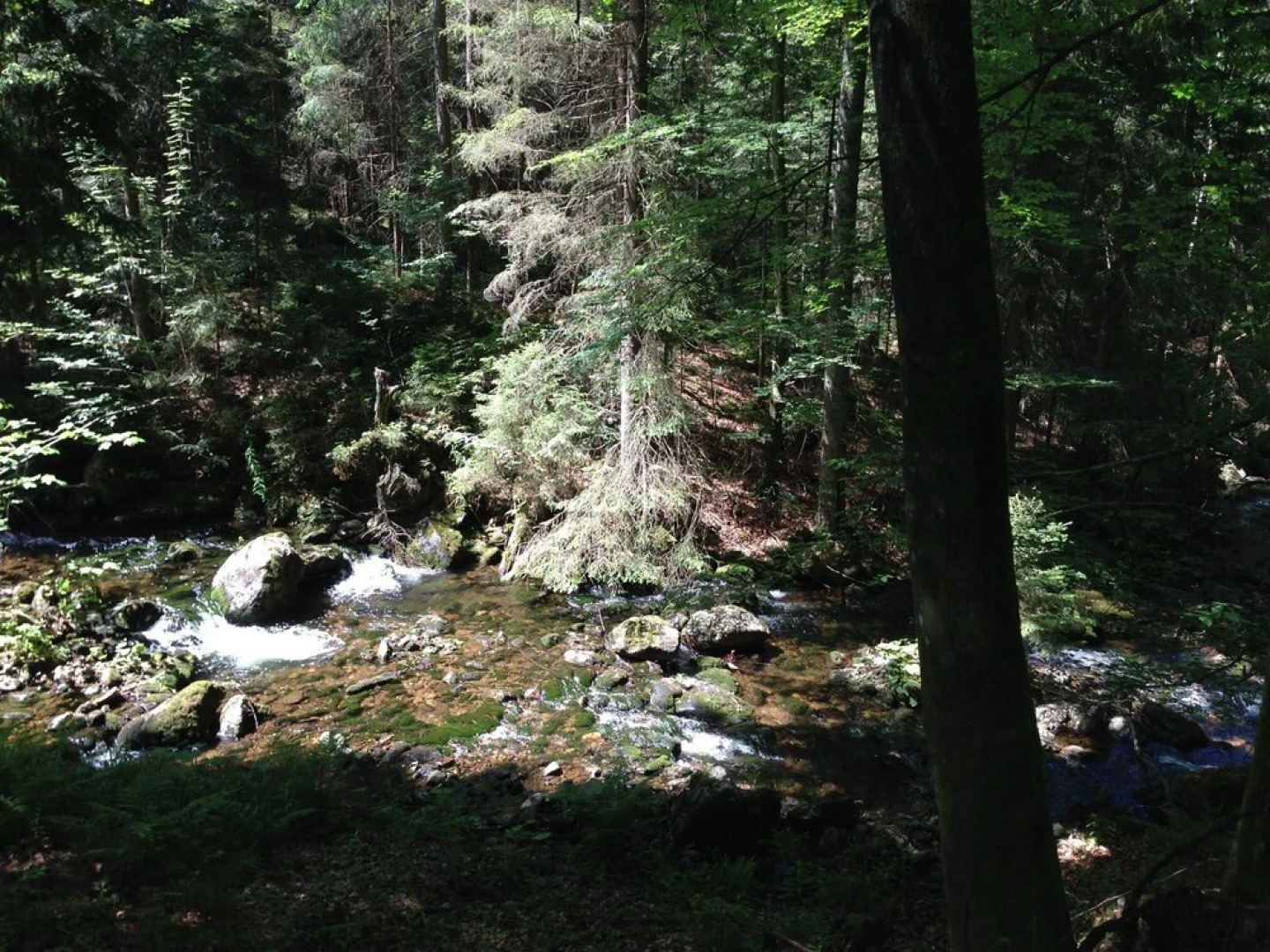 Modern Holiday Home in Bischofsmais With Balcony