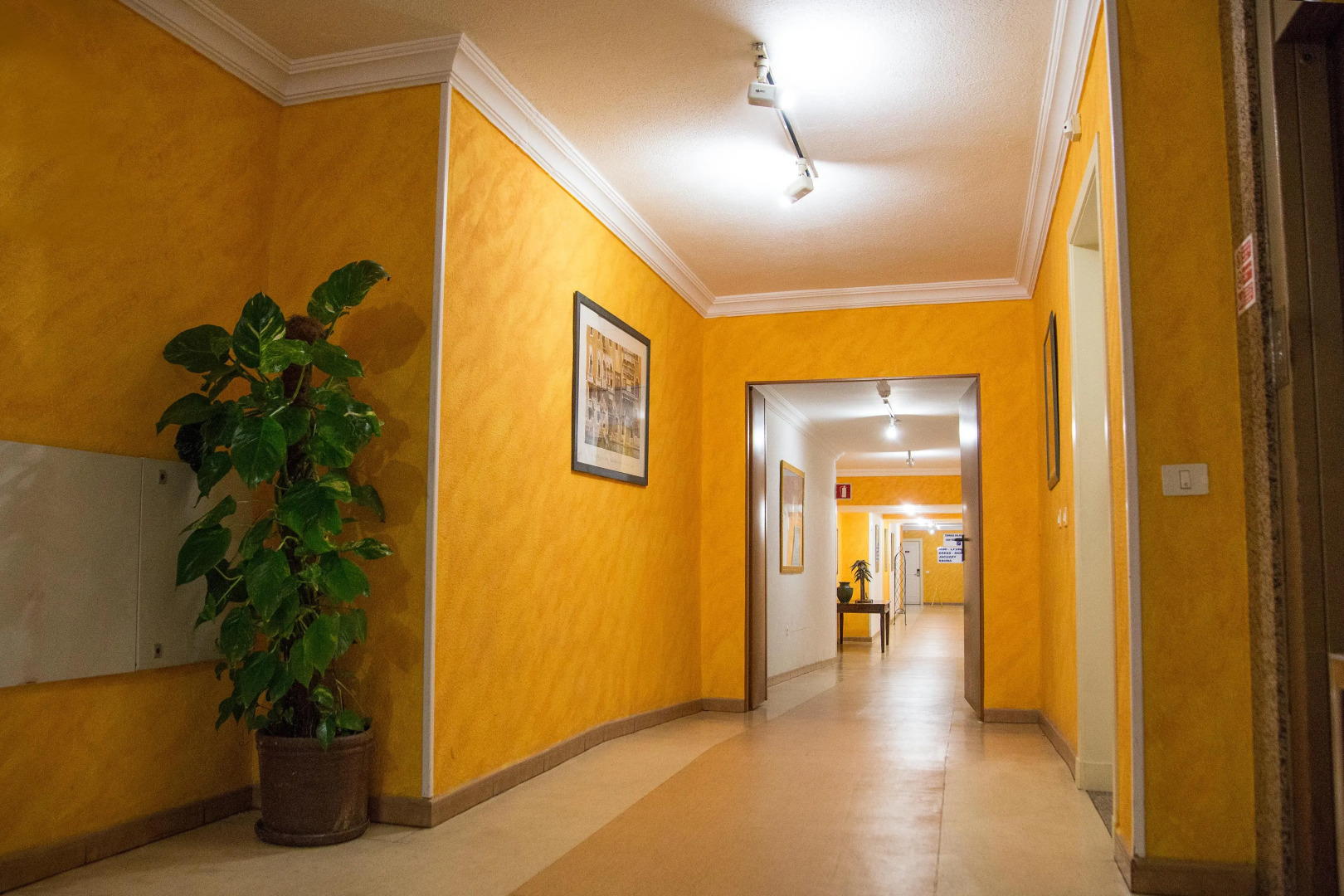 Apartamentos Oro Blanco