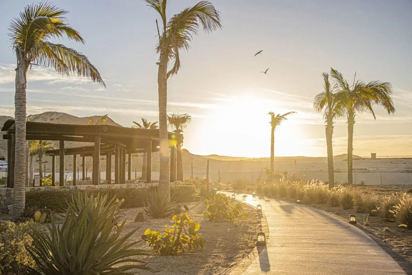 Grand Solmar Pacific Dunes Resort, Golf & Spa