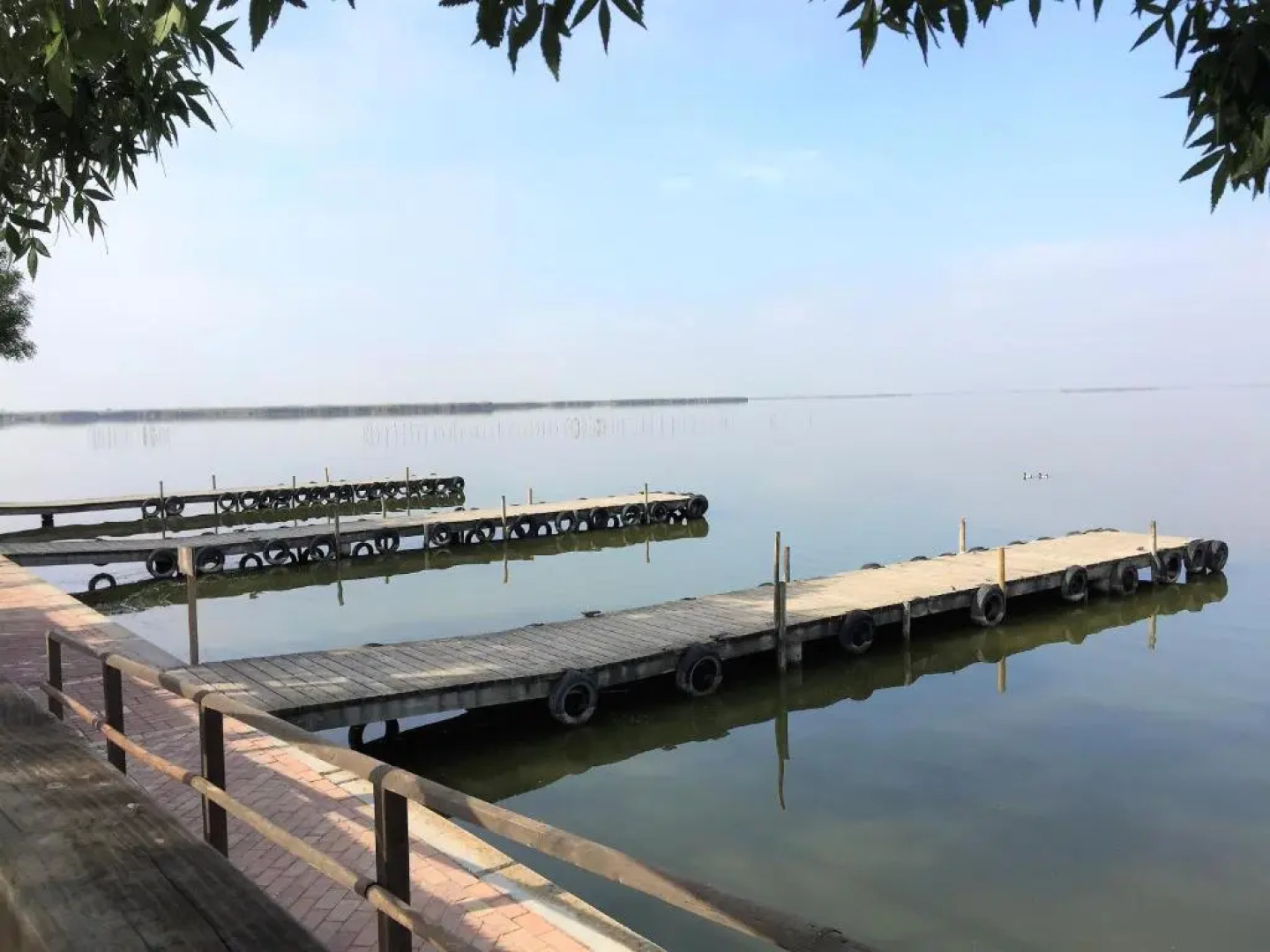 Beachfront and Bright Apartment