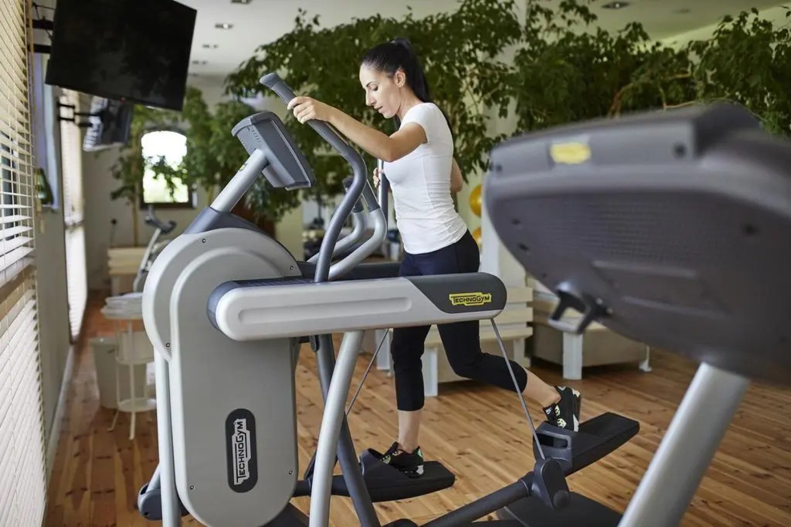 Pałac Ciekocinko - Powozownia