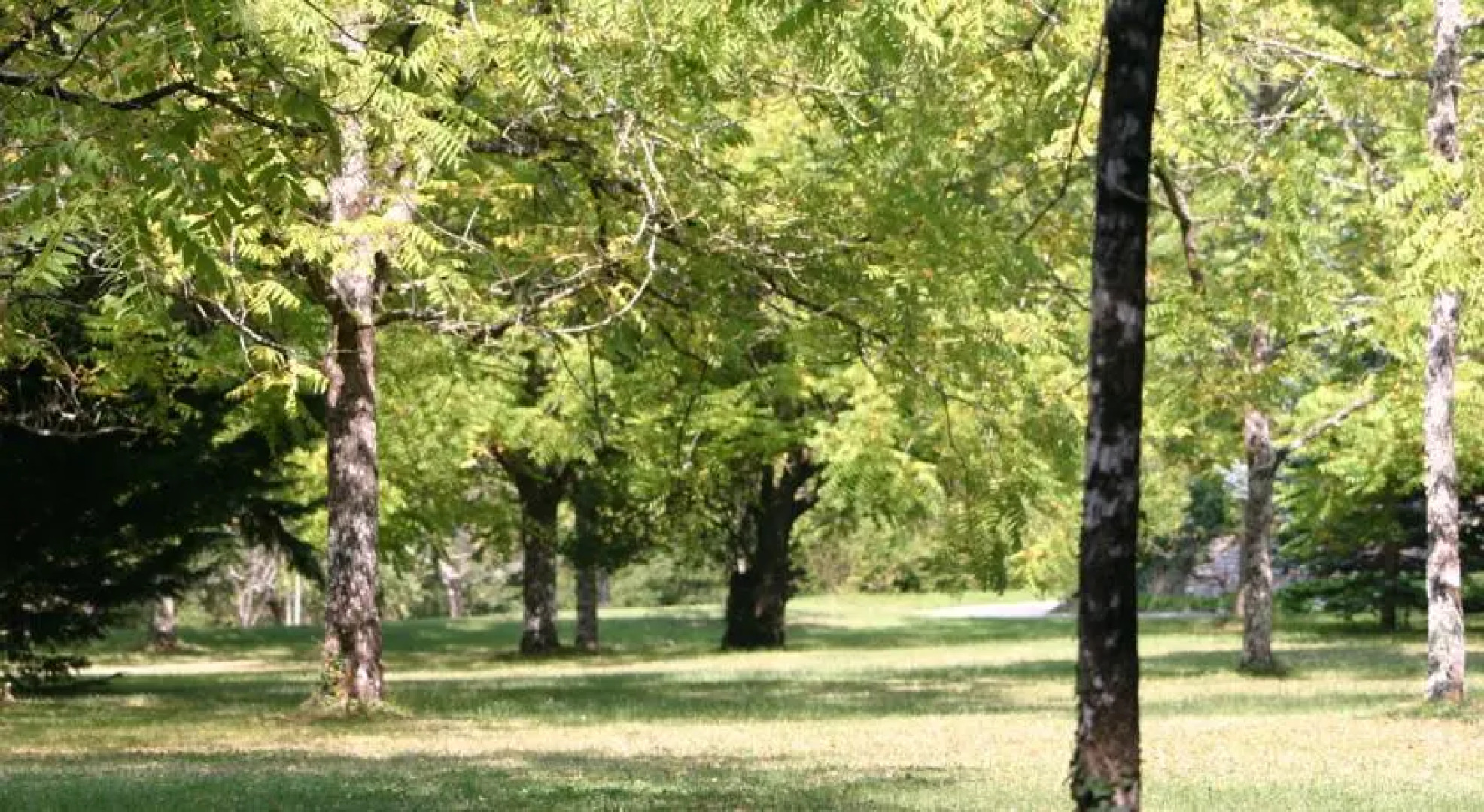 Maison de vacances LES CHARLOTIERES