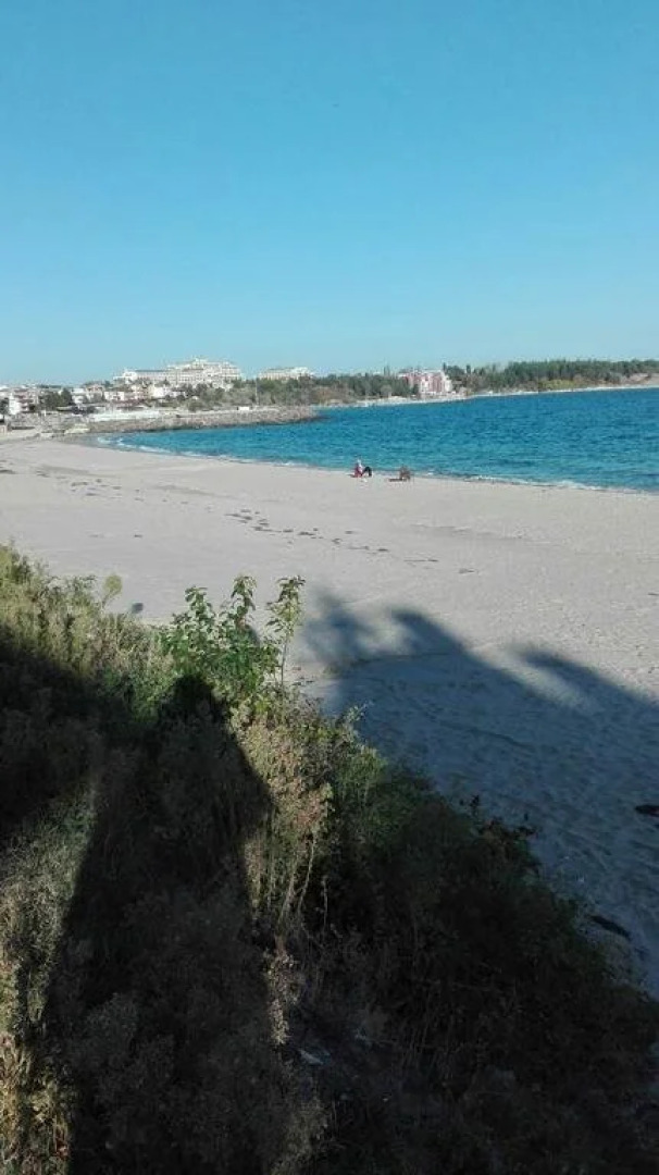 Oasis Laguna Apartments