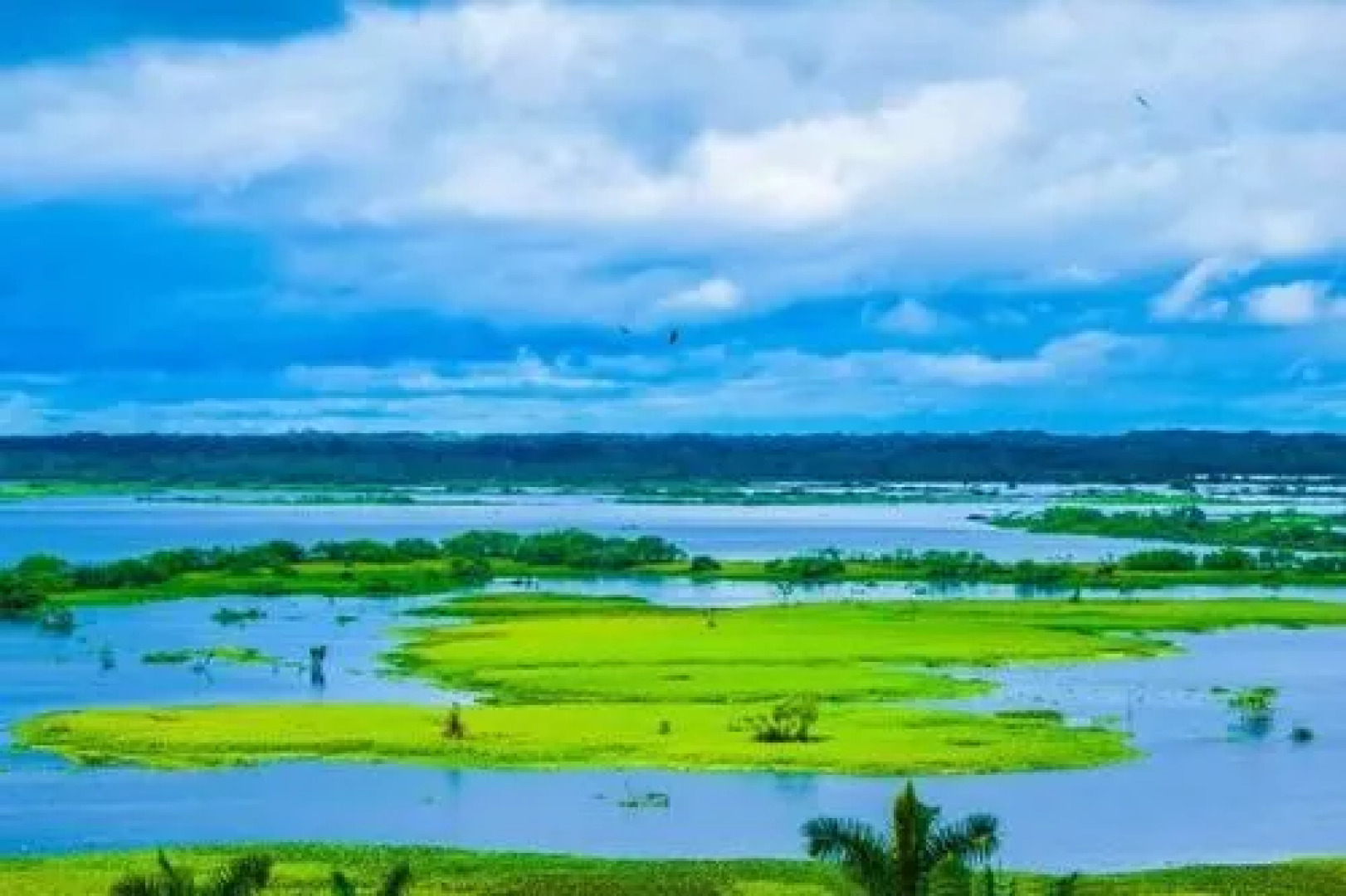 Hotel Ventura Isabel