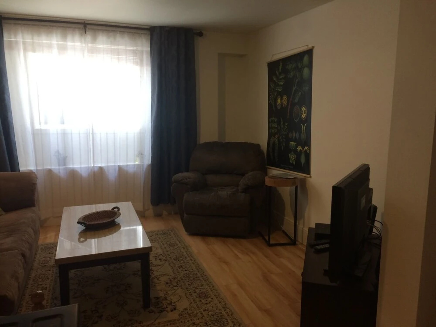 Black Rooster Guesthouse