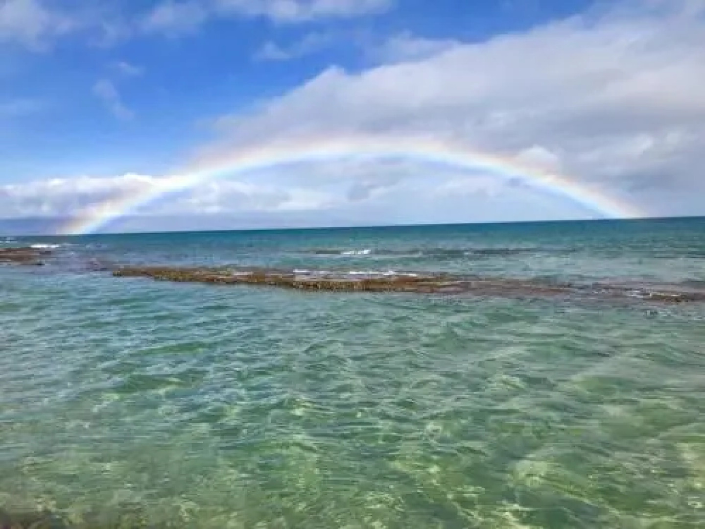Lahaina Luxury Beach Condos