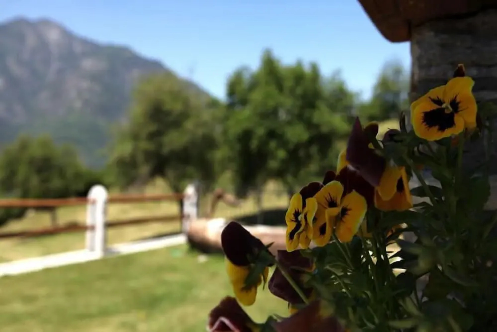 La Majón dé Fohtèn