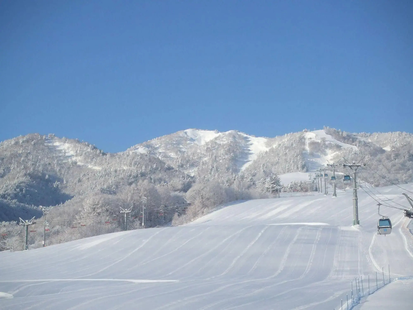 Premier Hotel Cabin Asahikawa