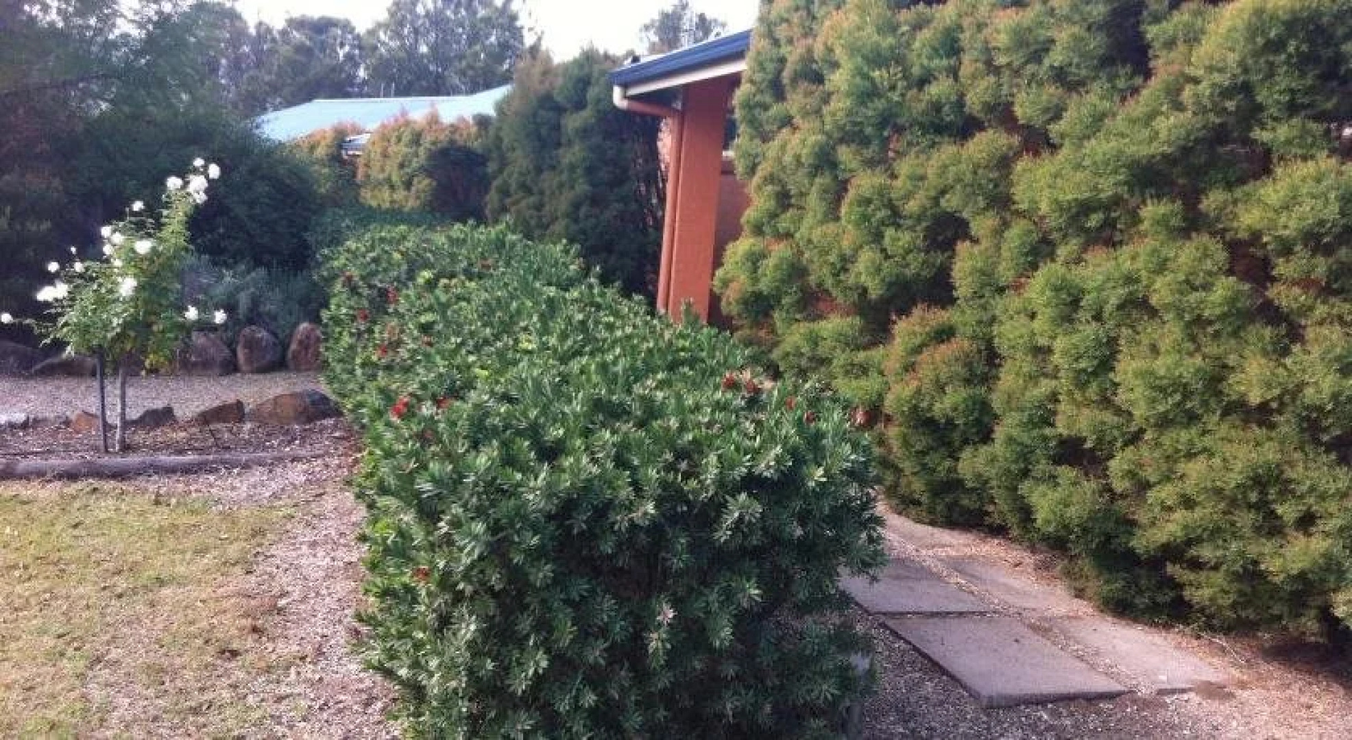 The Wellness Farm Broke